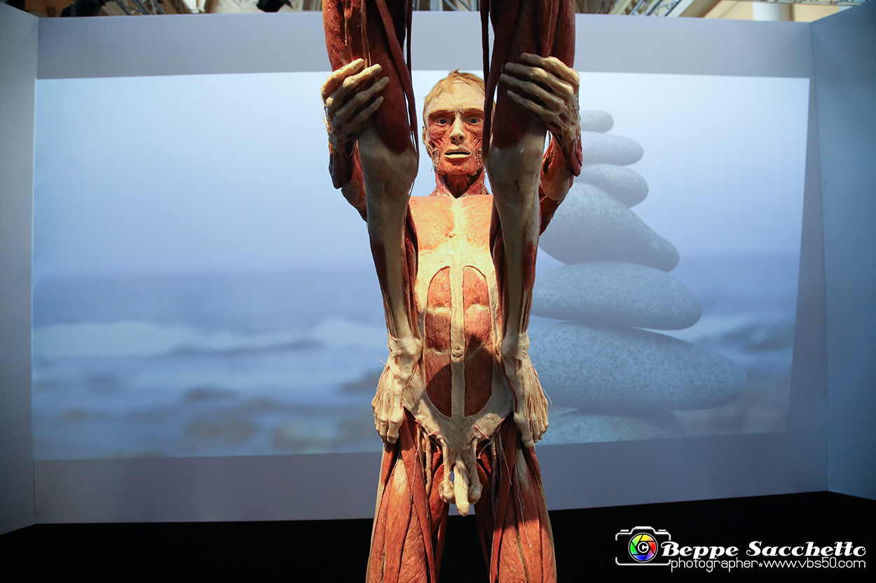 VBS_2692 - Mostra Body Worlds.jpg